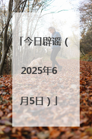今日辟谣（2025年6月5日）