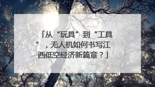 从“玩具”到“工具”，无人机如何书写江西低空经济新篇章？