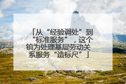 从“经验调处”到“标准服务”，这个镇为处理基层劳动关系服务“造标尺”