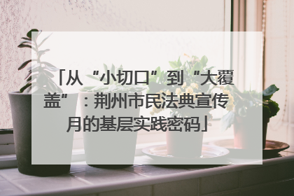 从“小切口”到“大覆盖”：荆州市民法典宣传月的基层实践密码