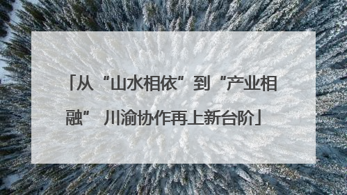 从“山水相依”到“产业相融” 川渝协作再上新台阶