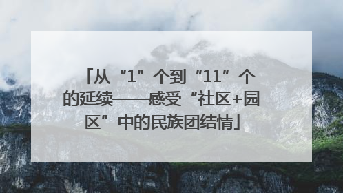 从“1”个到“11”个的延续——感受“社区+园区”中的民族团结情