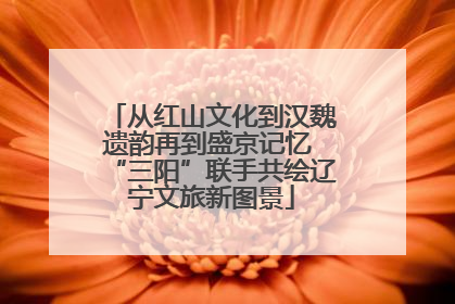 从红山文化到汉魏遗韵再到盛京记忆 “三阳”联手共绘辽宁文旅新图景
