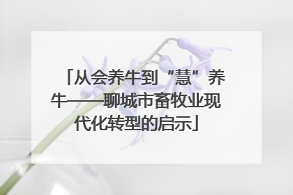 从会养牛到“慧”养牛——聊城市畜牧业现代化转型的启示