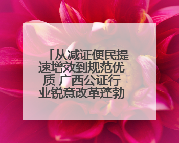 从减证便民提速增效到规范优质 广西公证行业锐意改革蓬勃发展