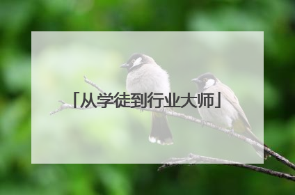 从学徒到行业大师