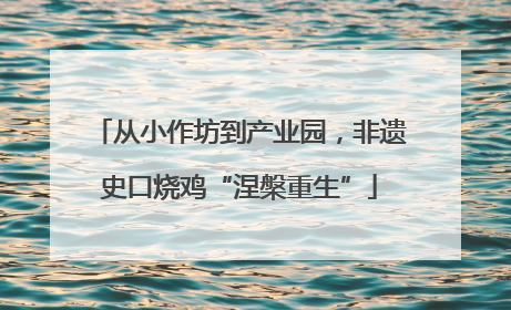 从小作坊到产业园，非遗史口烧鸡“涅槃重生”