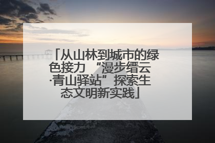 从山林到城市的绿色接力 “漫步缙云·青山驿站”探索生态文明新实践