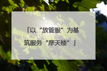 以“放管服”为基筑服务“摩天楼”