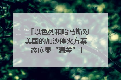 以色列和哈马斯对美国的加沙停火方案态度显“温差”