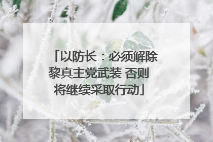 以防长：必须解除黎真主党武装 否则将继续采取行动