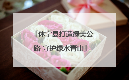 休宁县打造绿美公路 守护绿水青山