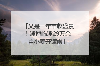 又是一年丰收盛景！淄博临淄29万余亩小麦开镰啦