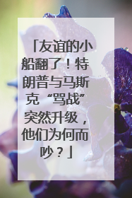 友谊的小船翻了！特朗普与马斯克“骂战”突然升级，他们为何而吵？