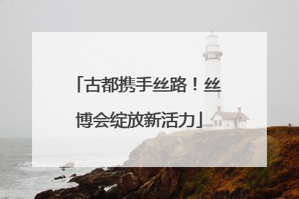 古都携手丝路！丝博会绽放新活力