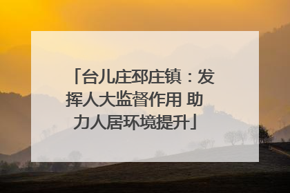 台儿庄邳庄镇：发挥人大监督作用 助力人居环境提升