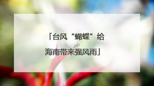 台风“蝴蝶”给海南带来强风雨