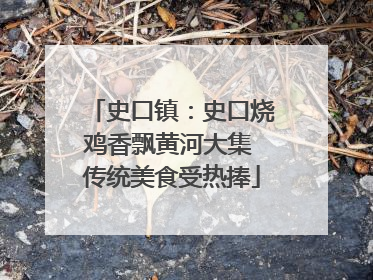 史口镇：史口烧鸡香飘黄河大集 传统美食受热捧