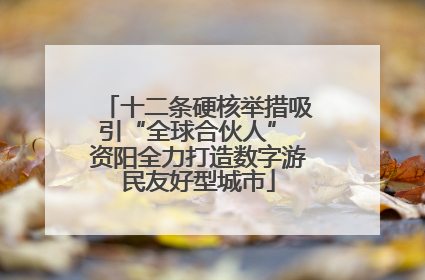 十二条硬核举措吸引“全球合伙人” 资阳全力打造数字游民友好型城市