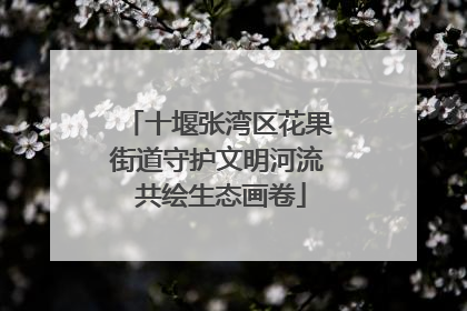 十堰张湾区花果街道守护文明河流 共绘生态画卷
