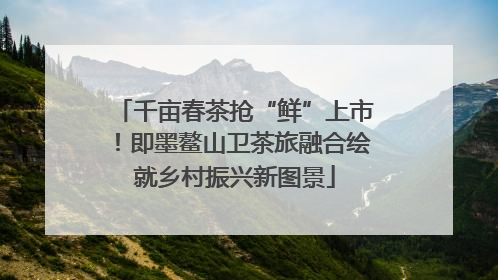 千亩春茶抢“鲜”上市！即墨鳌山卫茶旅融合绘就乡村振兴新图景