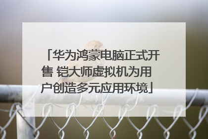 华为鸿蒙电脑正式开售 铠大师虚拟机为用户创造多元应用环境