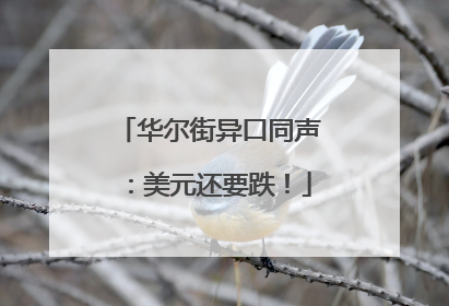 华尔街异口同声：美元还要跌！