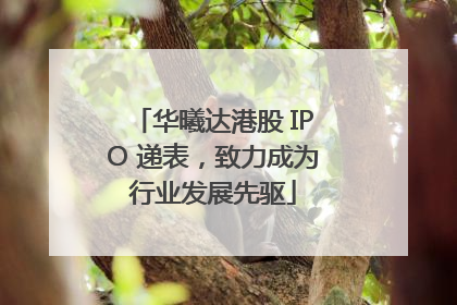 华曦达港股 IPO 递表，致力成为行业发展先驱