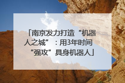 南京发力打造“机器人之城”：用3年时间“强攻”具身机器人