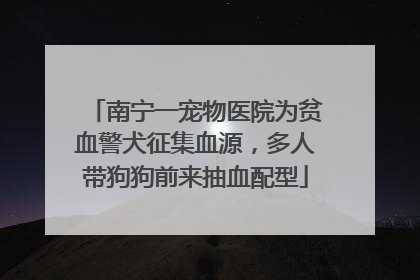 南宁一宠物医院为贫血警犬征集血源，多人带狗狗前来抽血配型