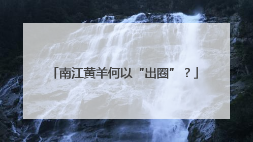 南江黄羊何以“出圈”？