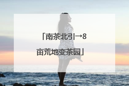 南茶北引→8亩荒地变茶园