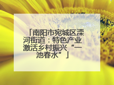 南阳市宛城区溧河街道：特色产业激活乡村振兴“一池春水”