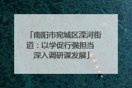 南阳市宛城区溧河街道：以学促行强担当 深入调研谋发展