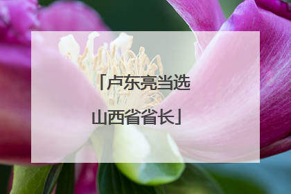 卢东亮当选山西省省长