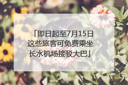 即日起至7月15日 这些旅客可免费乘坐长水机场接驳大巴