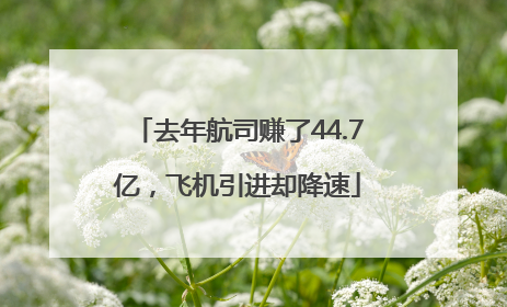 去年航司赚了44.7亿，飞机引进却降速