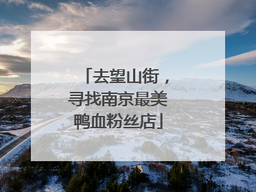 去望山街，寻找南京最美鸭血粉丝店