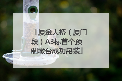 厦金大桥（厦门段）A3标首个预制墩台成功吊装