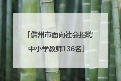 儋州市面向社会招聘中小学教师136名