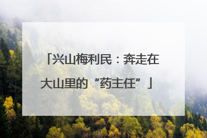 兴山梅利民：奔走在大山里的“药主任”
