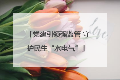 党建引领强监管 守护民生“水电气”