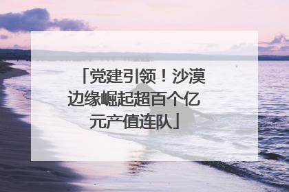 党建引领！沙漠边缘崛起超百个亿元产值连队