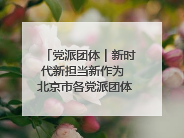 党派团体｜新时代新担当新作为 北京市各党派团体这么干！