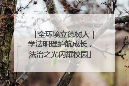 全环境立德树人｜学法明理护航成长，法治之光闪耀校园