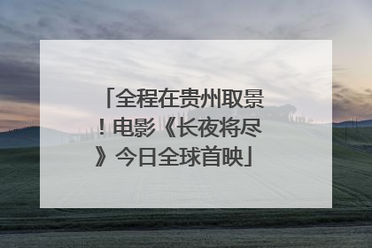 全程在贵州取景！电影《长夜将尽》今日全球首映