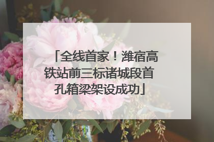 全线首家！潍宿高铁站前三标诸城段首孔箱梁架设成功