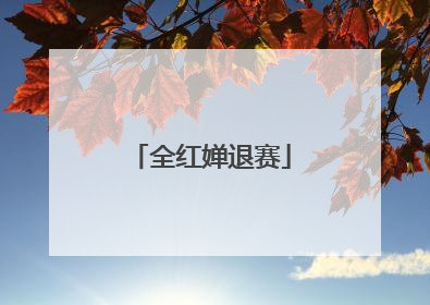 全红婵退赛