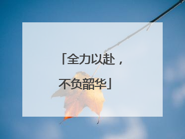 全力以赴，不负韶华