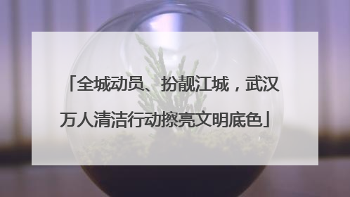 全城动员、扮靓江城，武汉万人清洁行动擦亮文明底色